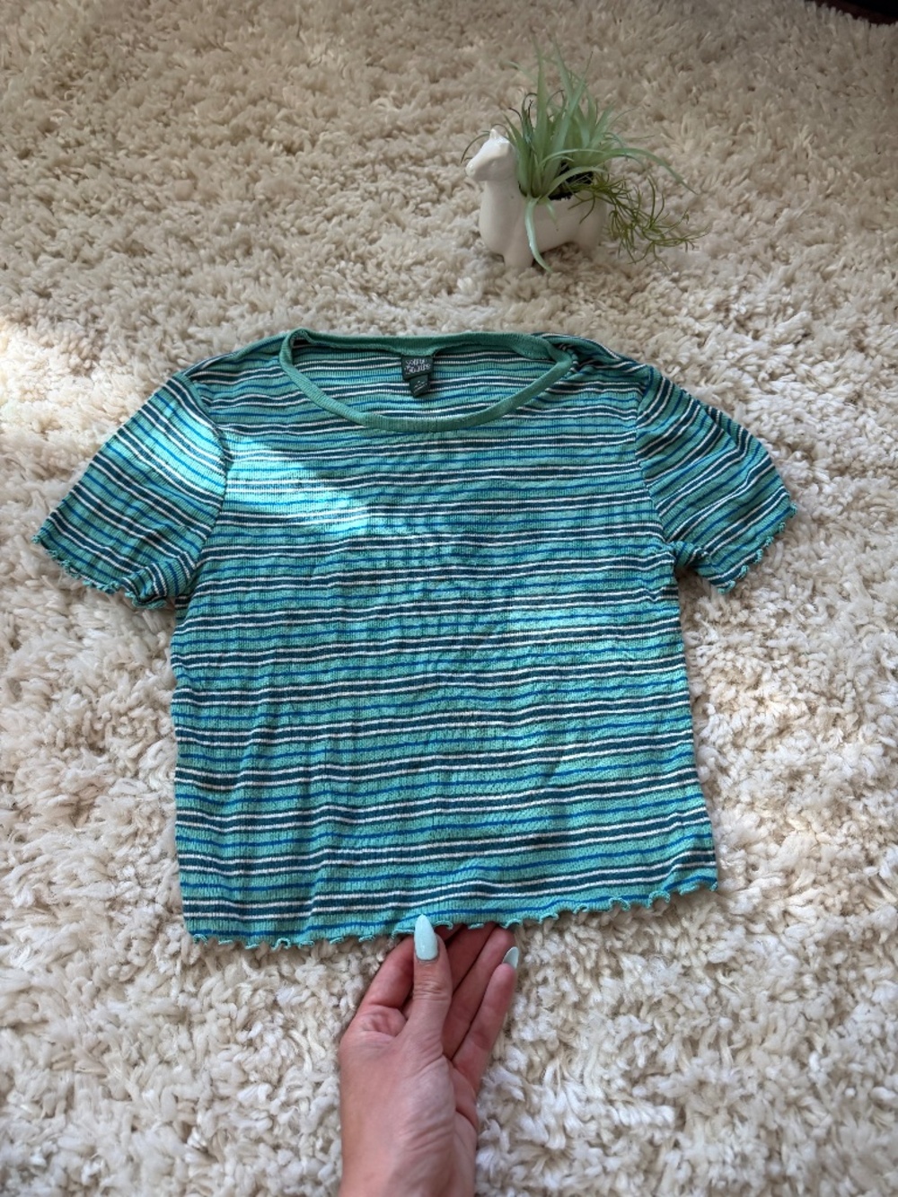 wild fable Teal and Dark Green Striped Lettuce-Edge super cute women’s Crop Top